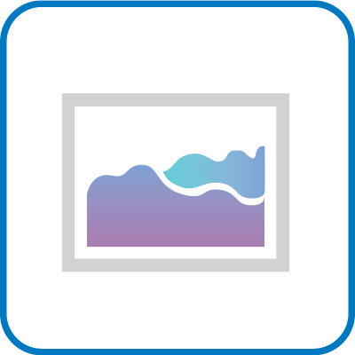 Visual Assistance Support logo